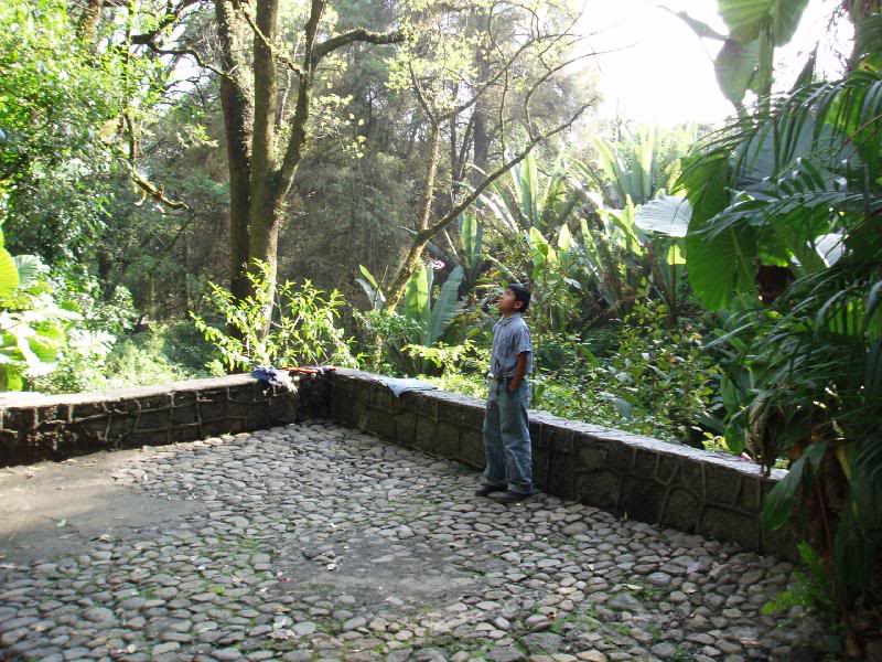 Young Boy Looking at Waterfall