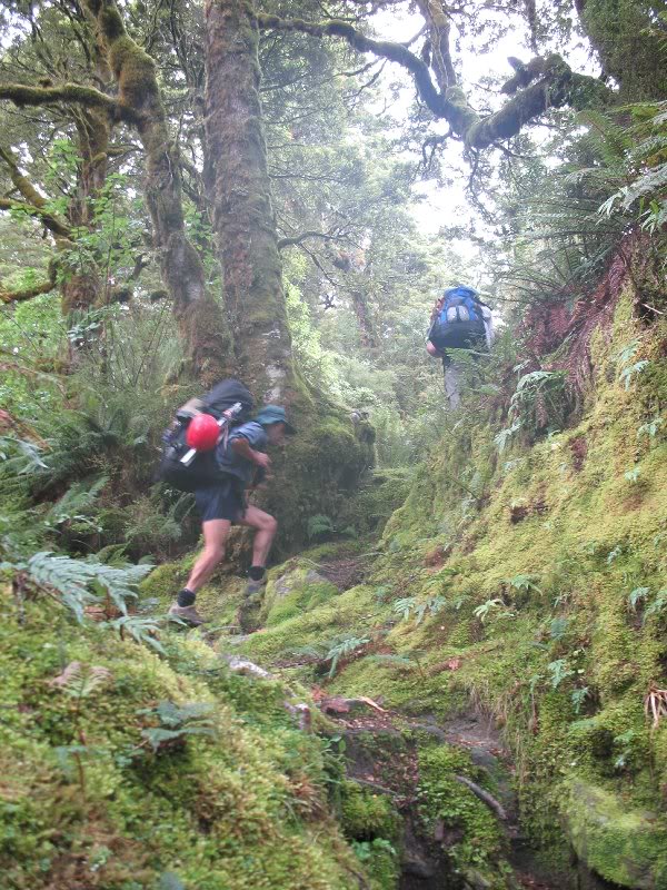 Day 2 - Up through the forest