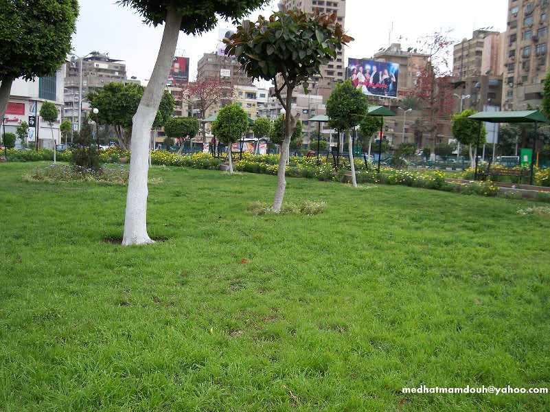 Street (Cairo ���Egypt)