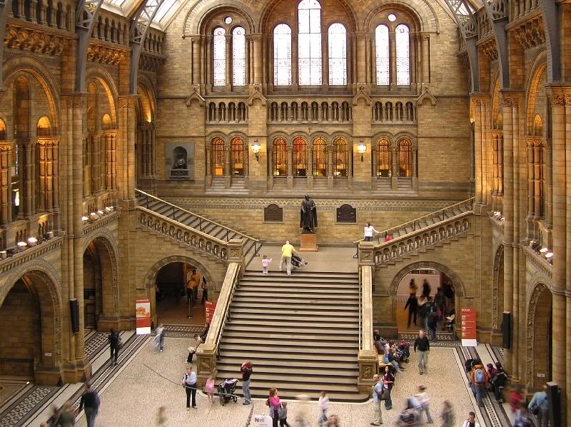 Natural History Museum Interior