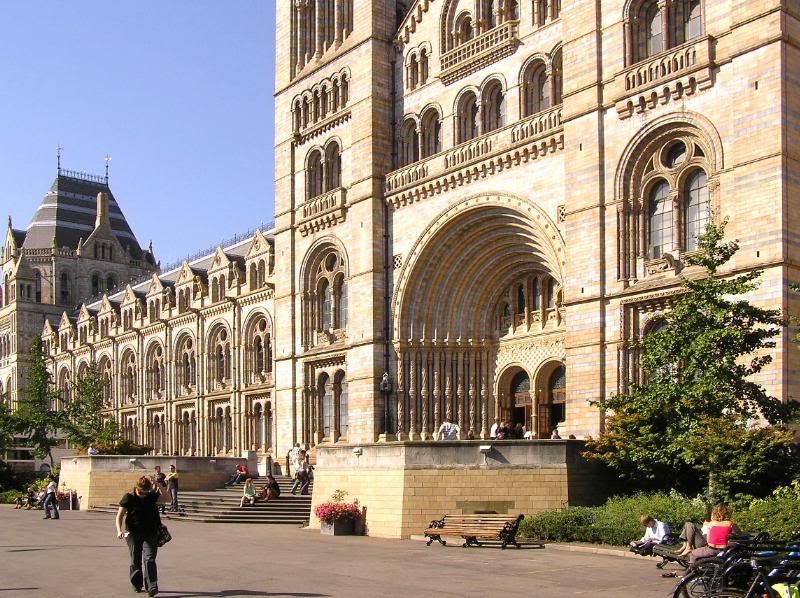 The Magnificent Natural History Musuem