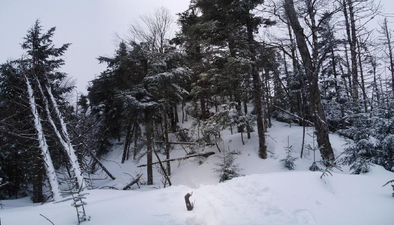 north river mountain summit pano