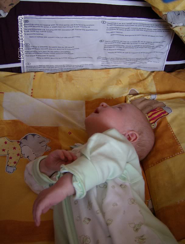 citesc ce scrie pe patut