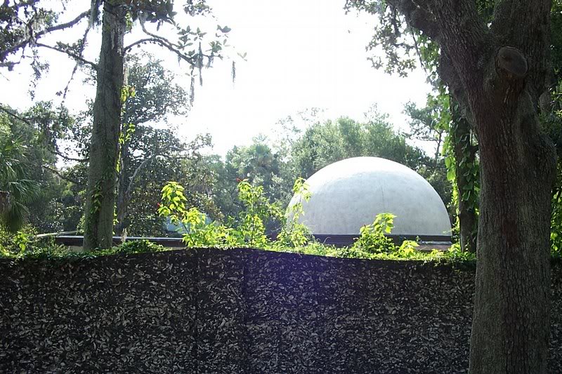 Magnolia Ave View over wall