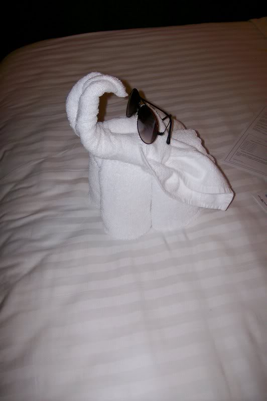 another view of the elephant :)