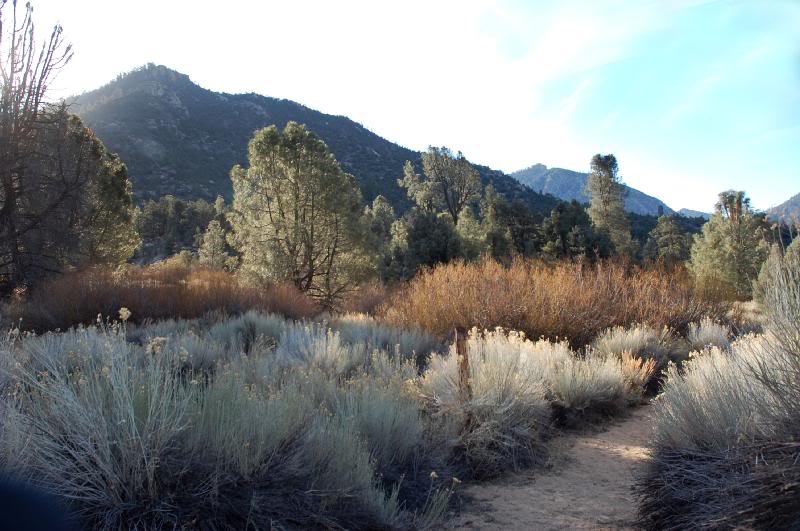 Along the PCT at the beginning of the hike