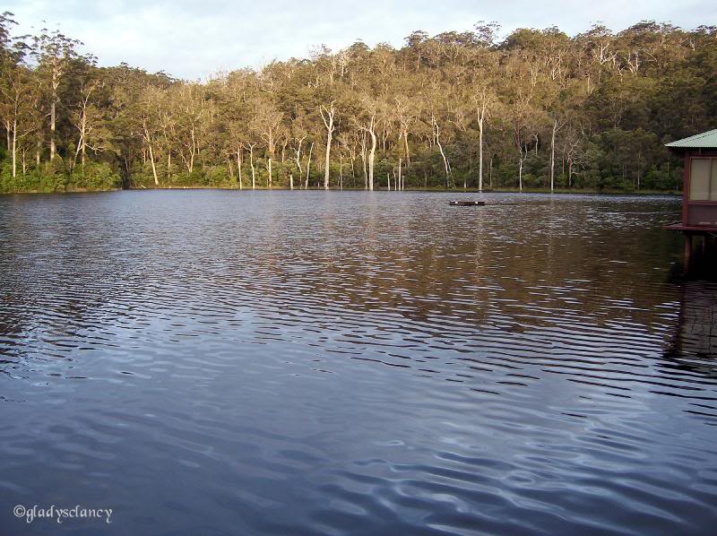 Beedelup Lake from Karri Valley Resort