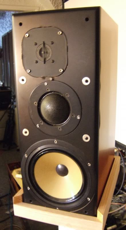 My Speaker Project - Parts Express Box - Eton 8-480 Woo...