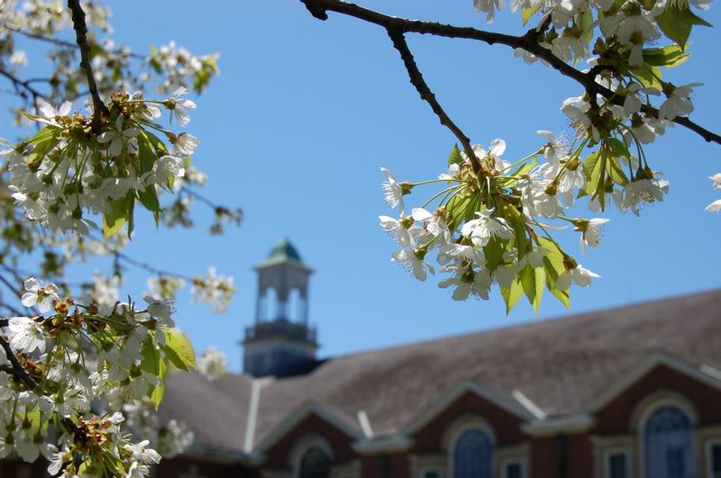 Bridgport Hall in spring