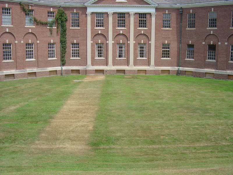 Shelton House - tunnel/grass