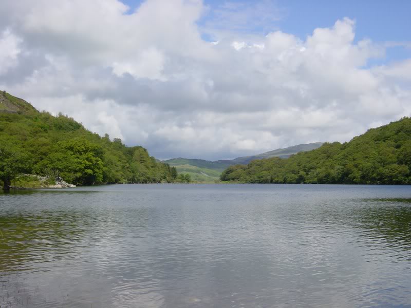 LLyn Cynwch Summer