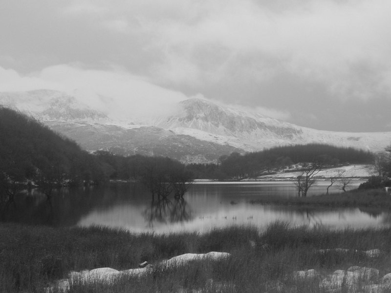 llyn Cynwch in snow bw