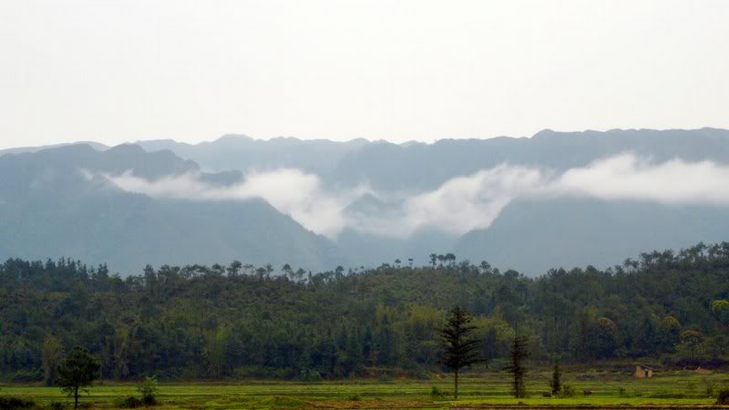 �f�_06Apr070941 14