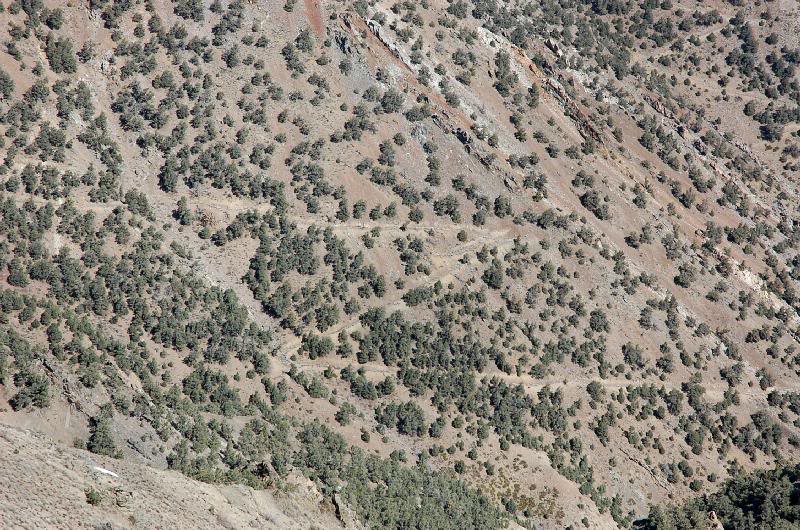 Swansea Grade to Cerro Gordo 4-7,8-07 231