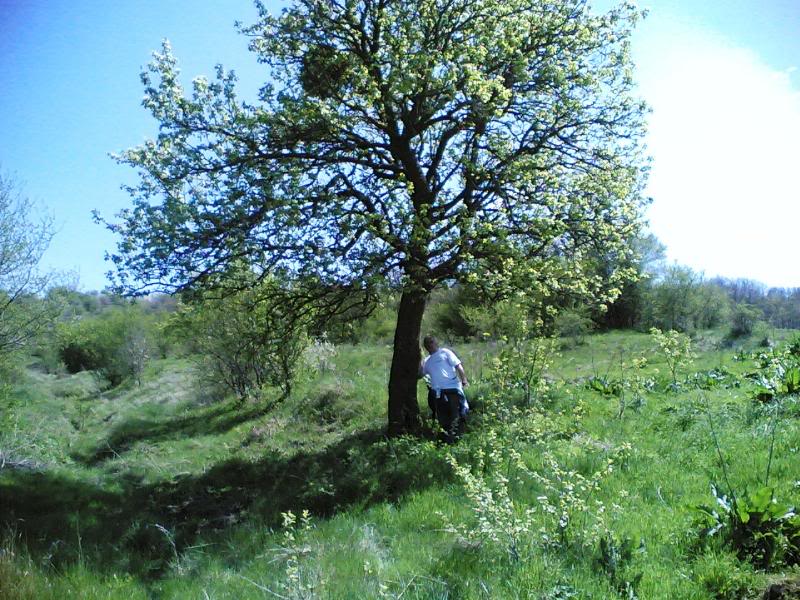 Dian sas svoiata krusha - 20 godini po-kasno