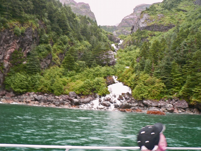 P1020170KenaiFj ordsCruise