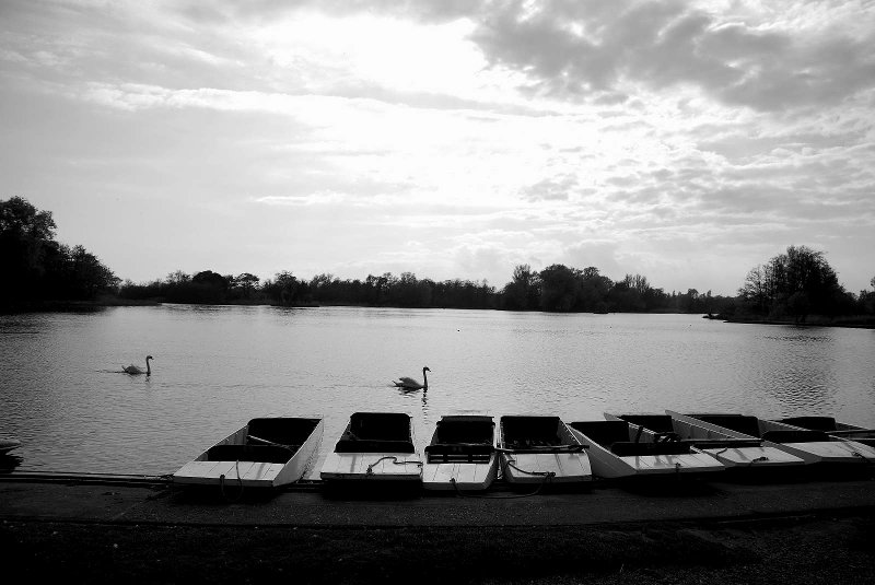 Suff Thorpeness 000001_28