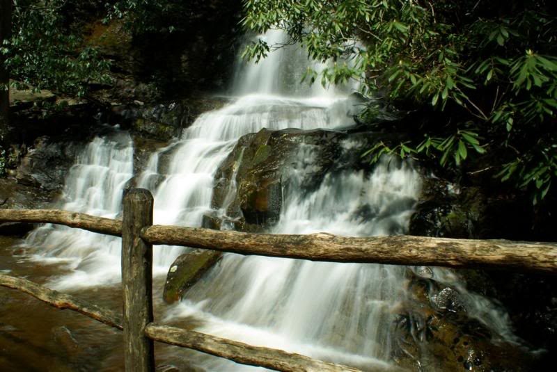 Laurel Falls