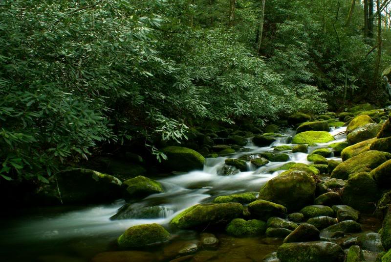 beautiful spring green