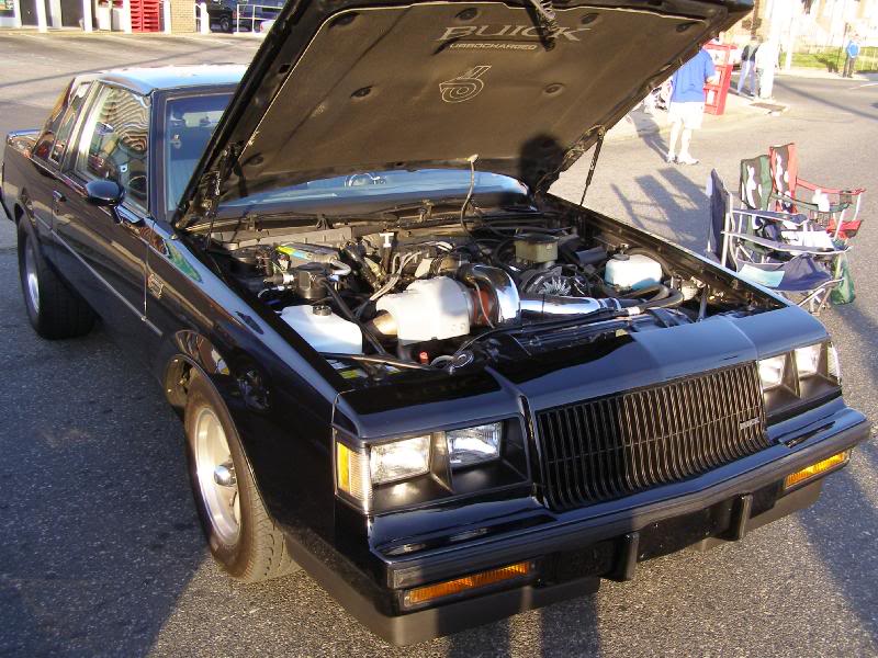 nelm_cruise_04- 07_002