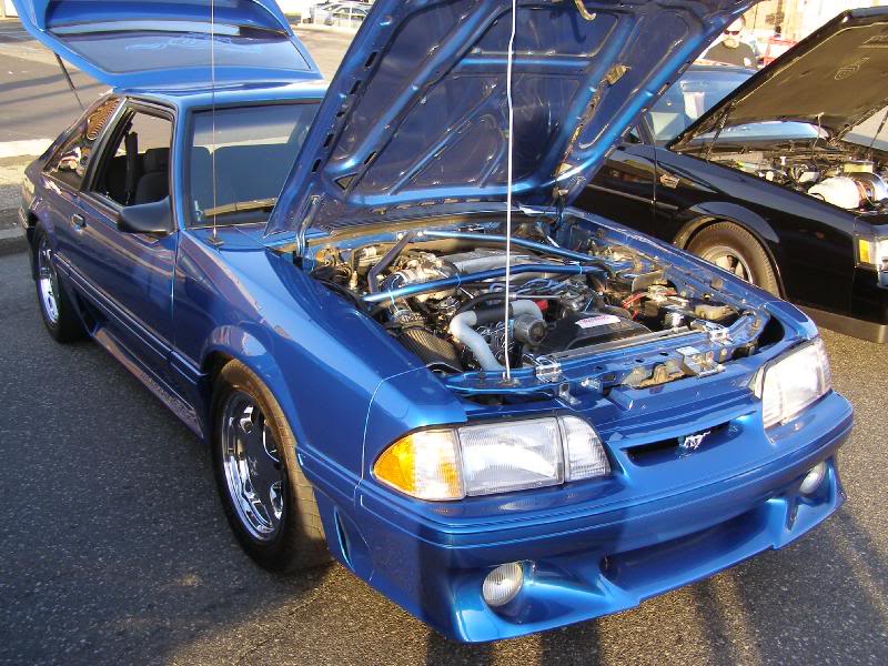 nelm_cruise_04- 07_003