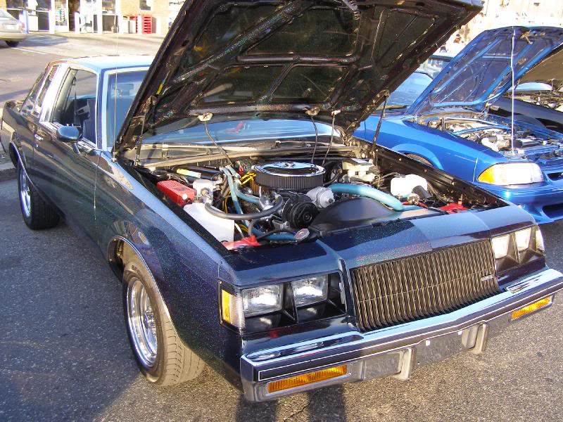 nelm_cruise_04- 07_004