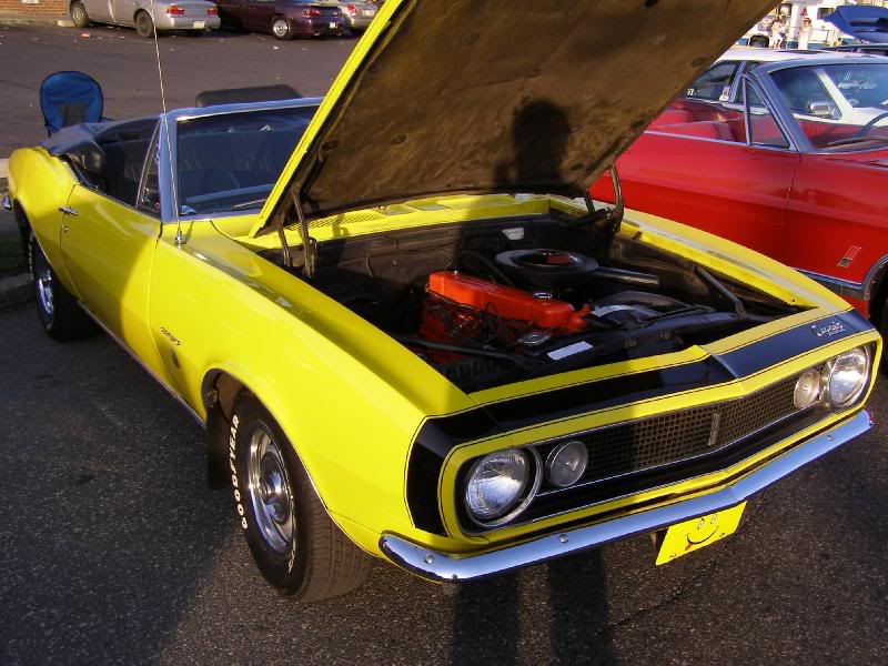 nelm_cruise_04- 07_006