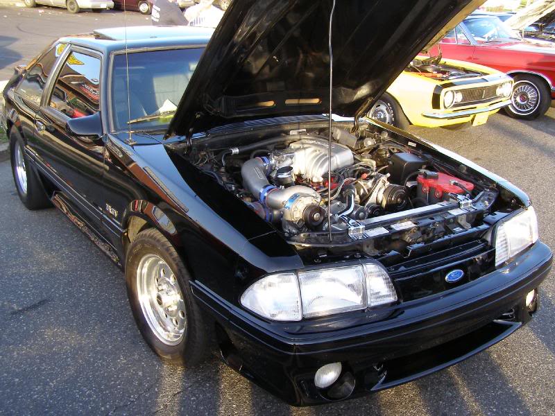 nelm_cruise_04- 07_007