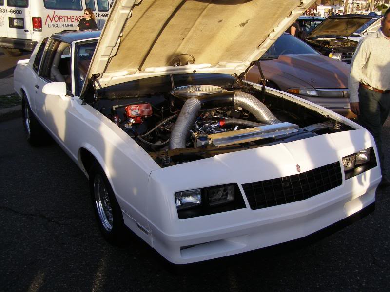 nelm_cruise_04- 07_010