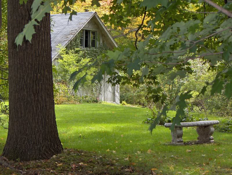 bench in autumn