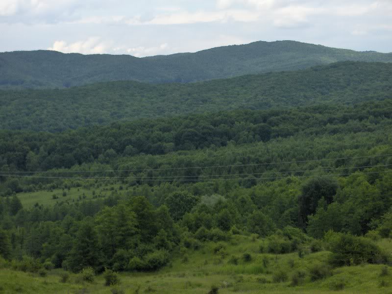 Dealurile din Moreni