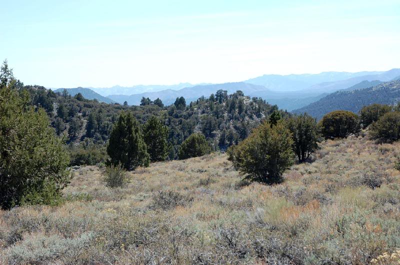 Towards the Domelands