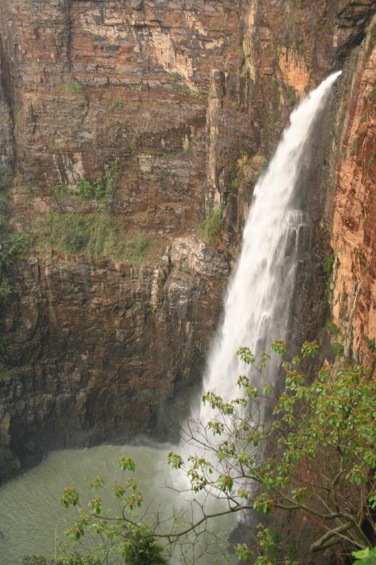 ���h�[���x���r� �