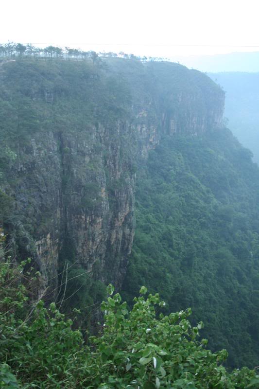 �����d�Q