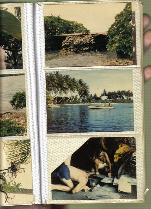 palmyra atoll 84-4