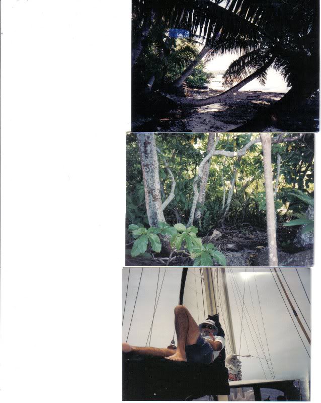 palmyra atoll '94-1