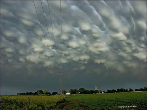 200704261258114 0791