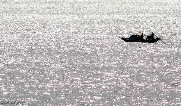 river life........... ...07