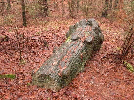 Jalowka Jewish cemetery