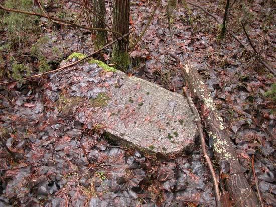 Jalowka Jewish cemetery3
