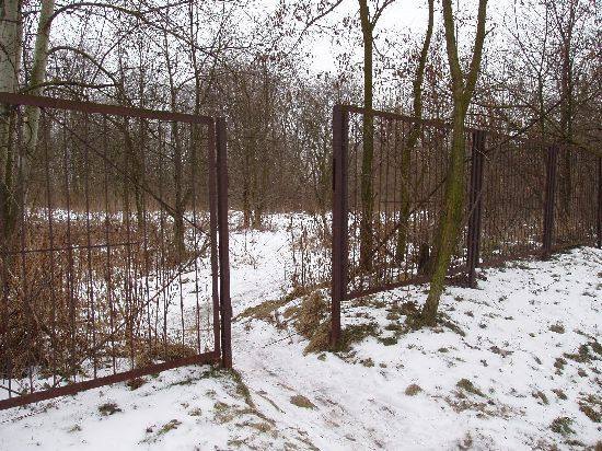 Janow Podlaskim cem1