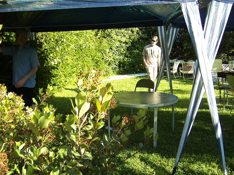 The canopies are in place