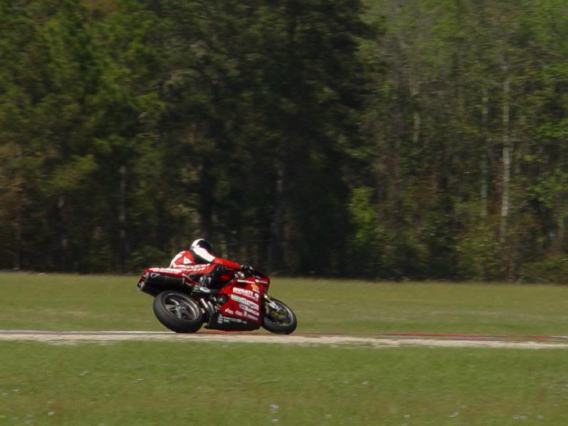 Turn 3 Savannah- Corse