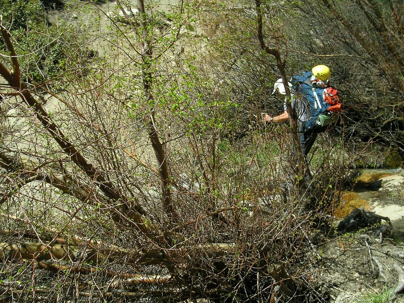 Carillon Creek, too... ~.25 mile