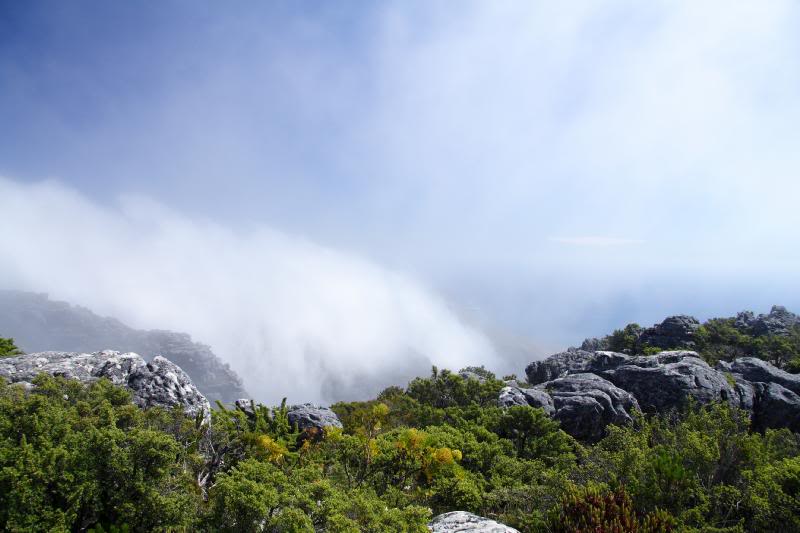 Table Mountain, Cape Town