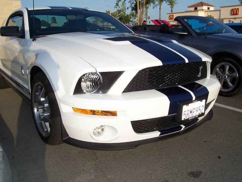 Mustang Cobra