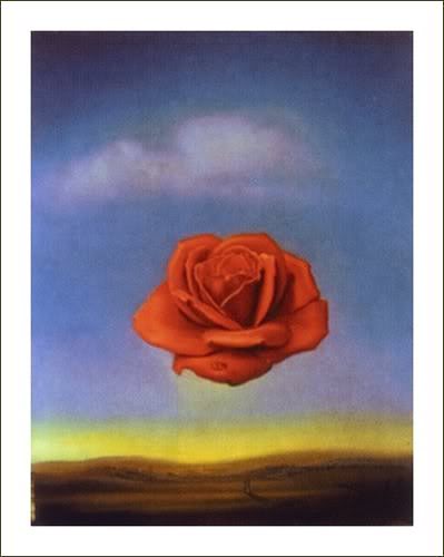 dali_the_medita tive_rose