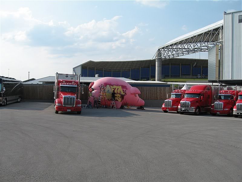 the pig backstage getting ready to fly