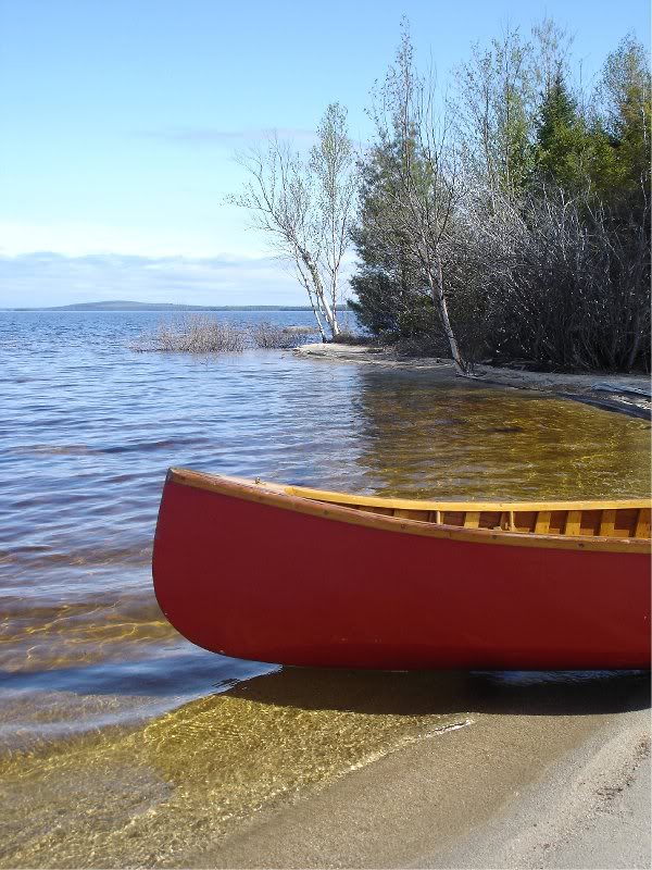 Drying out on the Lake