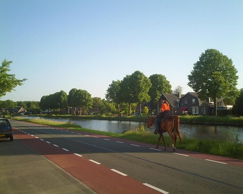 Erika gaat de weg op